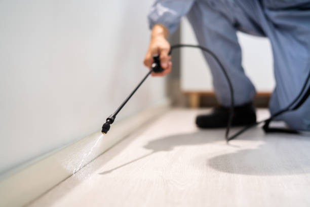 Rodent Entry Point Assessment in Cockrell Hill