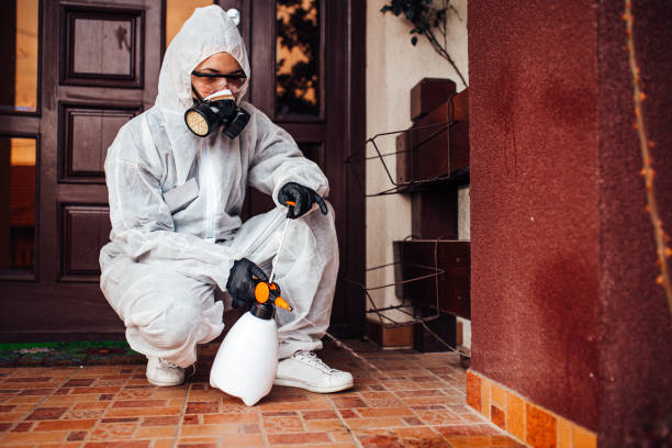 Attic and Crawl Space Rodent Treatment in Cockrell Hill